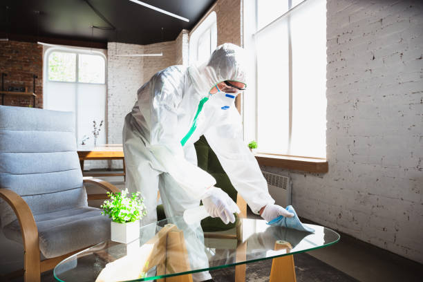 Why You Should Choose Our Mold Remediation Services in South Barre, VT